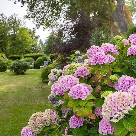 Apartman Haus Am Hohen Ufer 02 *